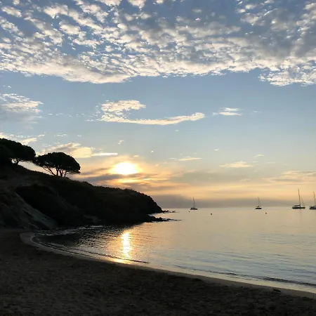 Vue Les Pieds Dans L'eau * Collioure